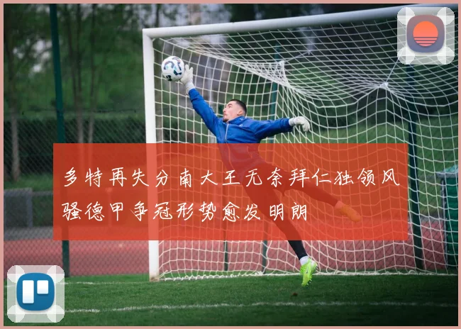 多特再失分南大王无奈拜仁独领风骚德甲争冠形势愈发明朗